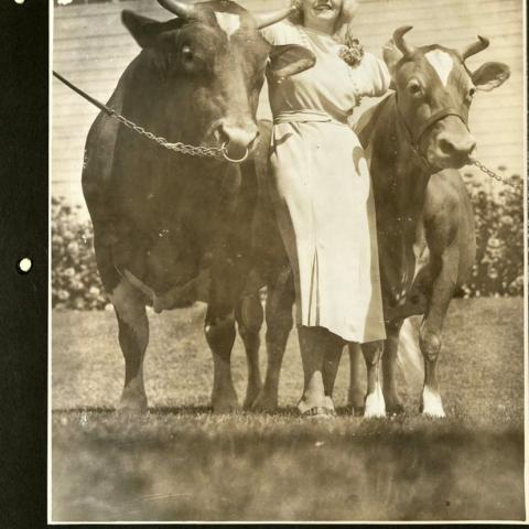 Queen of the 1935 Los Angeles County Fair