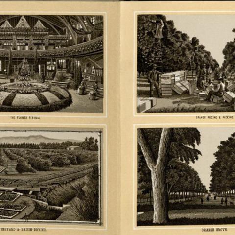 Album of Los Angeles & Vicinity, Promotional Illustrations