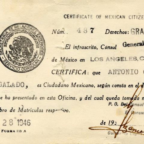 Certificate of of Mexican citizenship of Antonio Regalado Calvo, 1946. Latino Cultural Heritage Oral History Project Collection