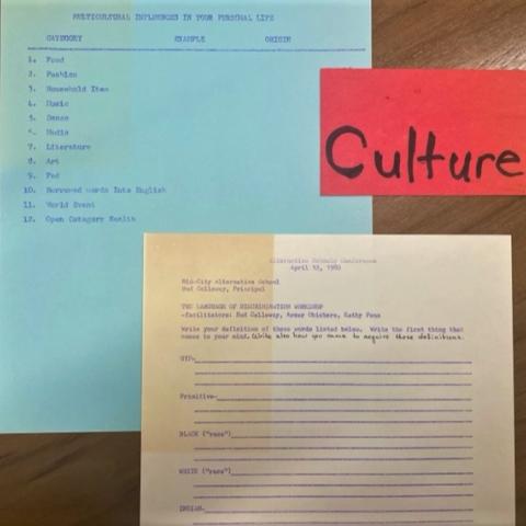 Alternative Schools Conference records, April 1980