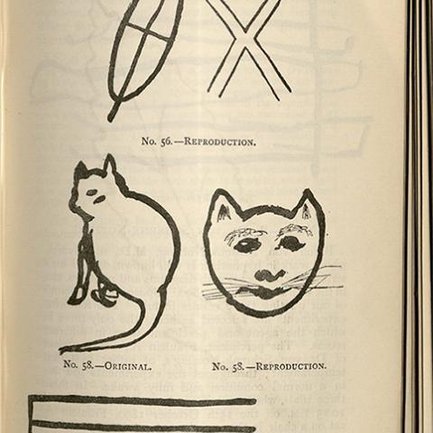 Illustration, Apparitions and Thought-Transference: An Examination of the Evidence for Telepathy