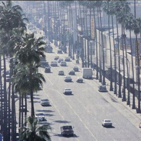 Aerial View of Van Nuys Boulevard, in Community Guide: Greater Van Nuys Area Chamber of Commerce