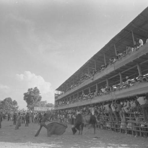 Audience watching bullfight, San Basilio de Palenque, ca. 1978