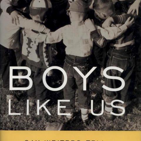 Cover of Boys Like Us: Gay Writers Tell Their Coming Out Stories
