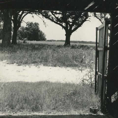 A view from a shed. TBC.RCH