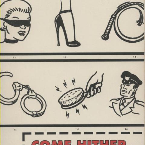 Cover, Come Hither: A Commonsense Guide to Kinky Sex