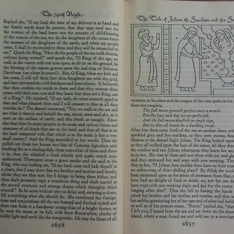 A Plain and Literal Translation of the Arabian Nights' Entertainments, by Sir Richard Francis Burton. PJ7715 .B8 Suppl. 