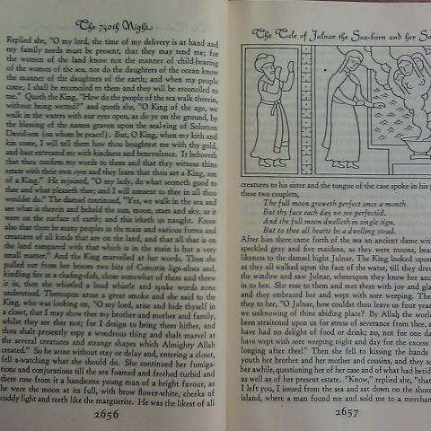 A Plain and Literal Translation of the Arabian Nights' Entertainments, by Sir Richard Francis Burton. PJ7715 .B8 Suppl. 