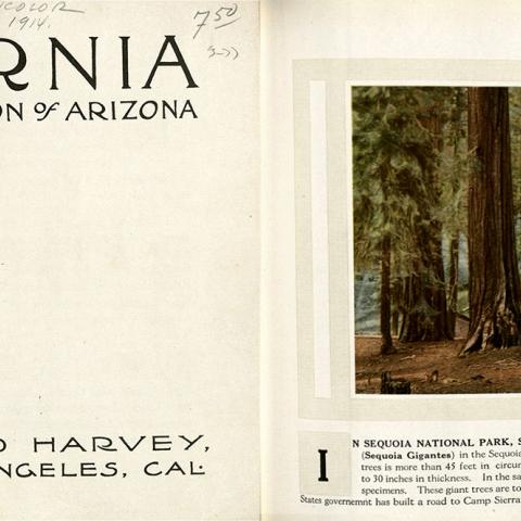 California and the Grand Canyon of Arizona