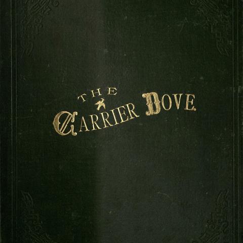Cover, the Carrier Dove