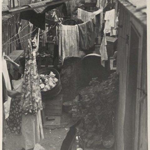 Photograph of cluttered backyards