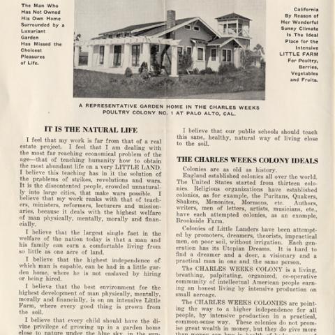 Charles Weeks Poultry Colony no. 2, page 4