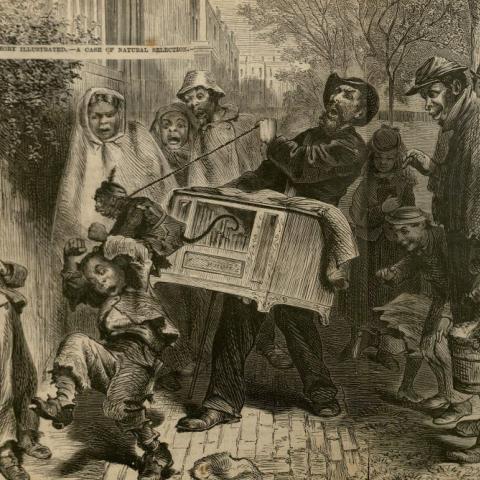 Image of a Southern street scene. The caption reads, "The Darwinian Theory Illustrated - A Case of Natural Selection"