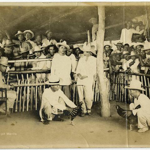 Photograph of men at a cockfight in Manila, ca. 1910. Donald Hiram Stilwell Photograph Collection