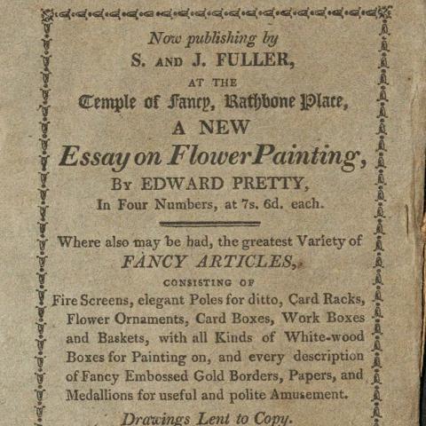 Back cover of The History of Little Fanny