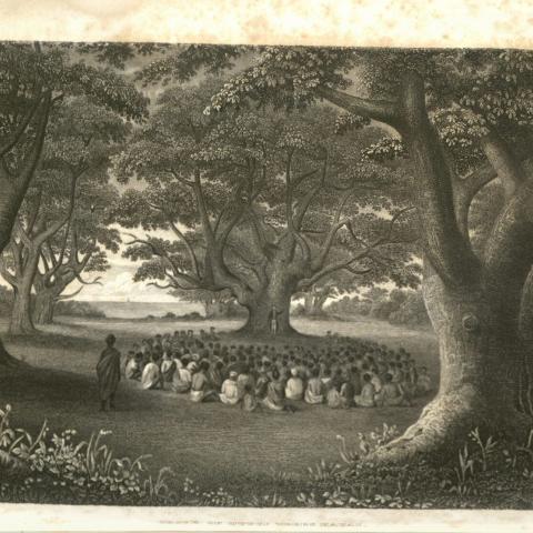 Image from Narrative of the United States exploring expedition during the years 1838, 1839, 1840, 1841, 1842 by Charles Wilkes Q115 .W66 1856