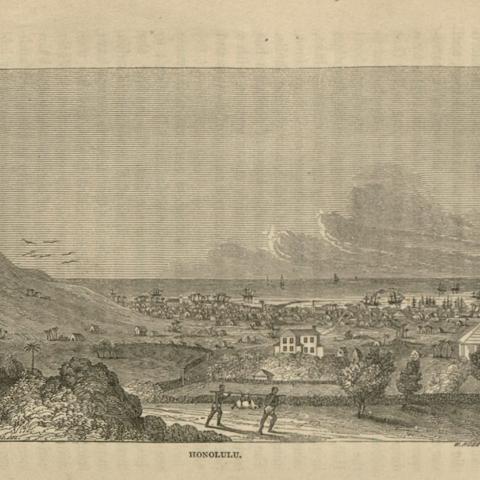 Image from What I saw on the west coast of South and North America, and at the Hawaiian Islands by H. Willis Baxley. F2213 .B35.