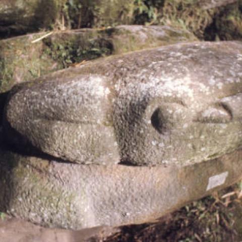 Carved stone boulder in the form of a toad at San Agustín Archaeological Park. Photo taken in 1975.Digital ID: 99.01.RCr.sl.B17.04.26.10