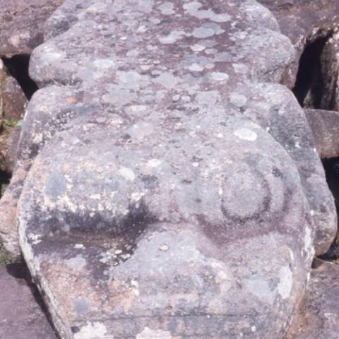 Large carved stone slab sitting on top of a pit at Alto de Lavapatas site at San Agustín Archaeological Park. Photo taken in 1975. Digital ID: 99.01.RCr.sl.B17.04.18.14