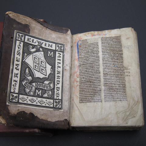 Manuscript Bible, [1260]
