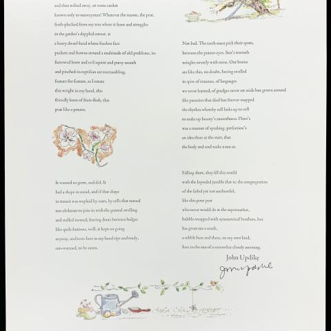 A Pear Like a Potato, Broadside poem by John Updike, 1986.  Illustrated by Irving Block.