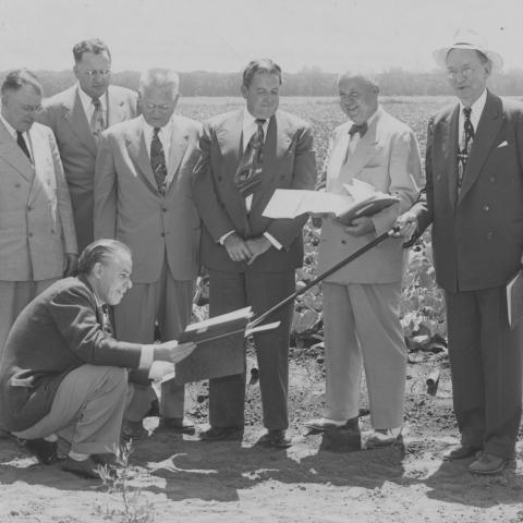 Seven men standing in a cabbage field looking at plans for the site