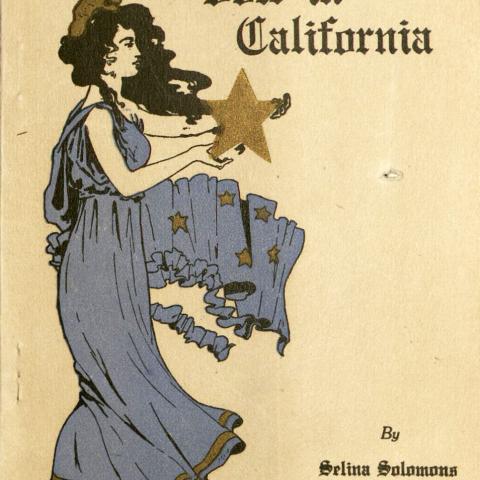 Cover, How We Won the Vote in California