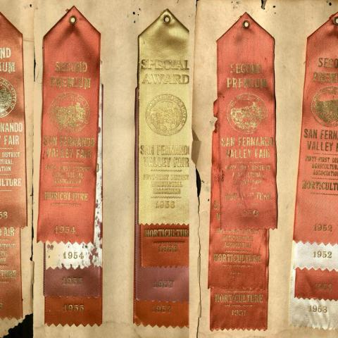 San Fernando Valley Fair horticulture prize ribbons, 1950-1958
