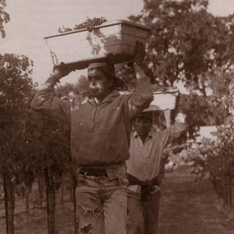 Pamphlet, Justice for Farmworkers