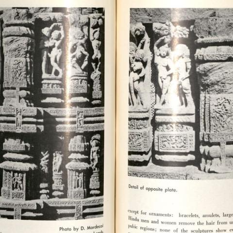 Page from Erotic Aspects of Hindu Sculpture by Lawrence E. Gichner