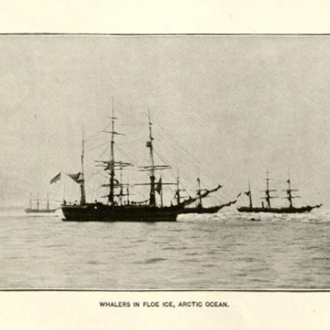Whalers in floe ice, Arctic Ocean. F908 .U672