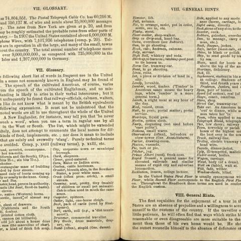 Section VII. Glossary