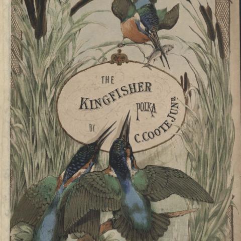 The Kingfisher Polka by C. Coote Junr