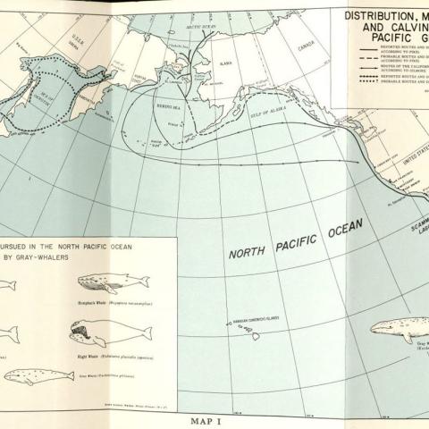 Map of North Pacific, in Men & Whales at Scammon's Lagoon, 1972