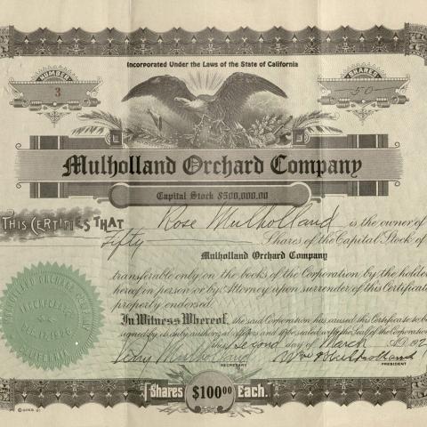 Mulholland Orchard Company stock certificate belonging to Rose Mulholland