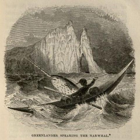 Greenlander spearing the Narwhal. Winter in the Arctic Regions