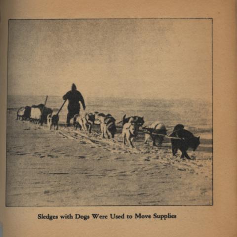 Newsreel Sled Dogs