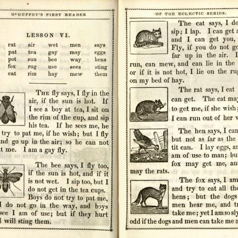 McGuffy's Newly Revised Eclectic First Reader: Containing Progressive Lessons in Reading and Spelling, pages 12-13, 1853