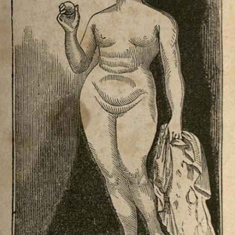 Drawing of an idealized nude woman, The Marriage Guide