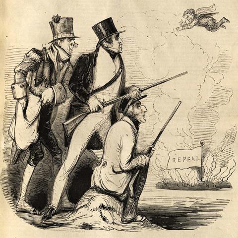 "Trying to Bag the Irish Wild Goose"