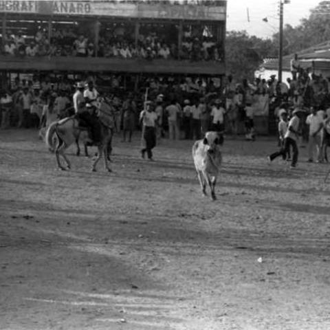 Bullring, San Basilio de Palenque, 1975