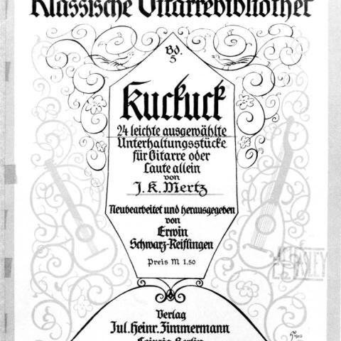 Elisir d'amore for guitar
