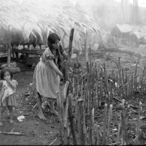 Refugee woman builds a fence of logs, Chiapas, 1983