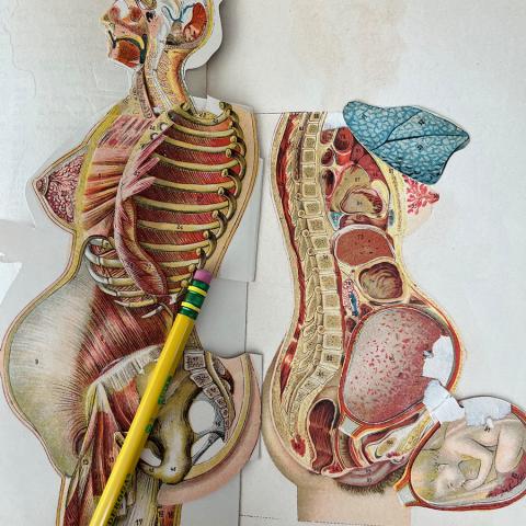 Paper mannequin from Woman in Girlhood, Wifehood, Motherhood. RG121 .S67