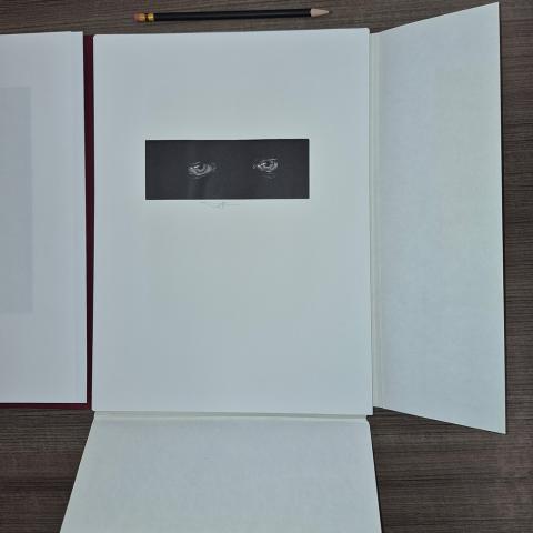 The creature’s eyes, from Mary Shelley’s Frankenstein, PR5397 .F7 1984c