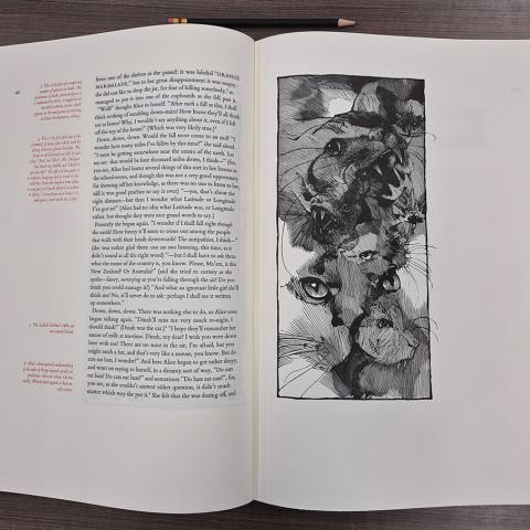 Cats and bats, from Lewis Carroll’s Alice’s Adventures in Wonderland, PR4611 .A7 1982b 