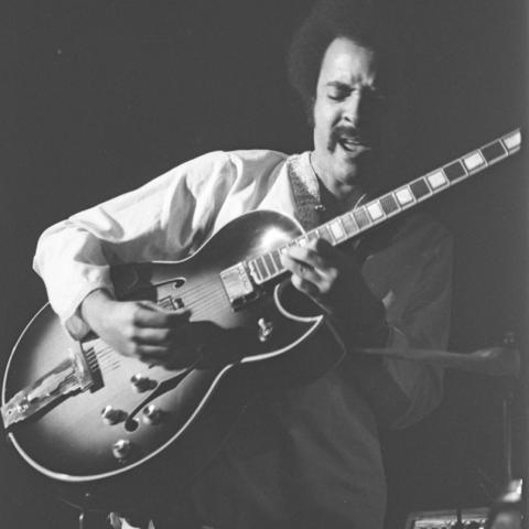 Mike Howard-Guitar
