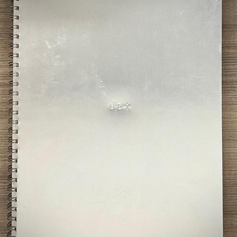 Front cover of Sex, ML420.M1387 A38 1992