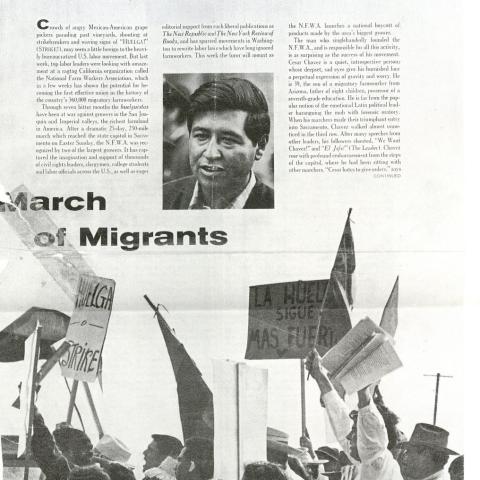 An article entitled, “Cesar Chavez—The Shy Mobilizer of American Workers,” documenting the grape picker’s march to Sacramento during a labor strike. Life Magazine, April 19, 1966. Julian Nava Collection 