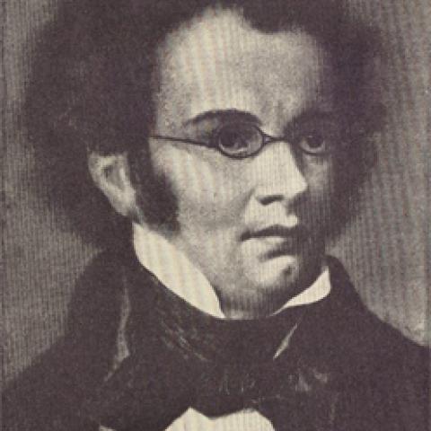 Portrait of Franz Schubert